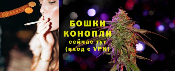 эйфоретик Новодвинск