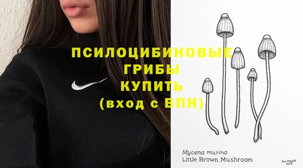 первитин Белокуриха