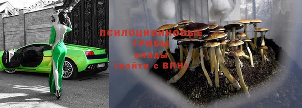 первитин Белокуриха