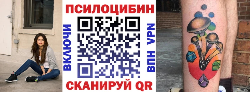 Псилоцибиновые грибы Cubensis  где купить наркоту  Константиновск 